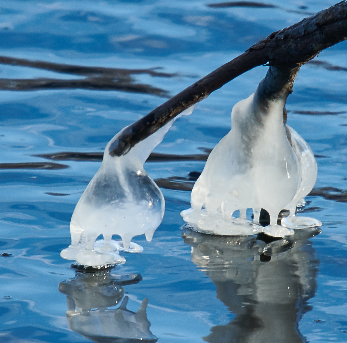 Ice