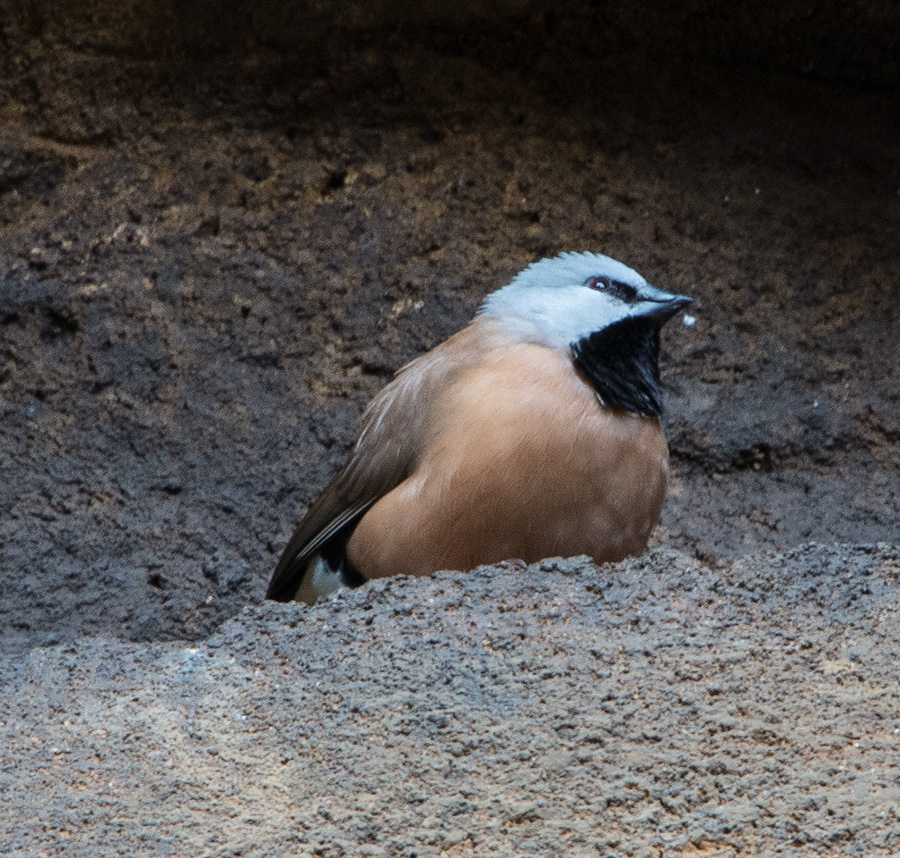 National Aquarium