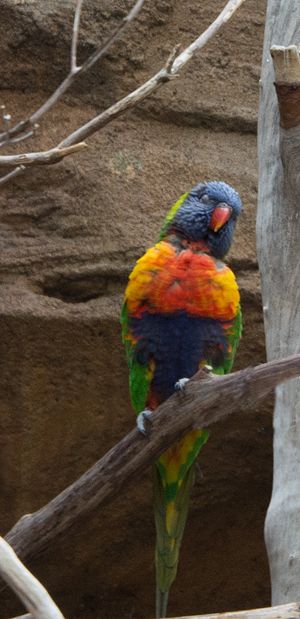 National Aquarium