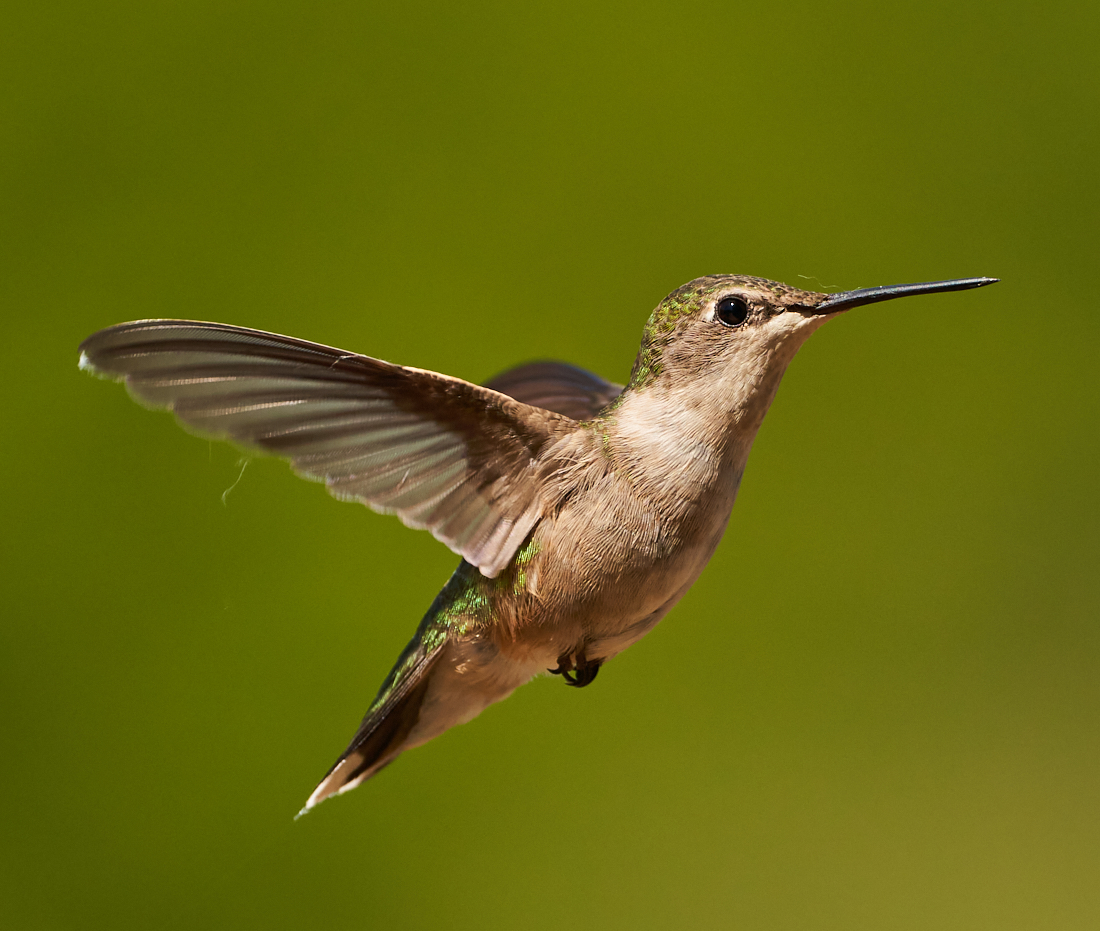 In-flight close-up
