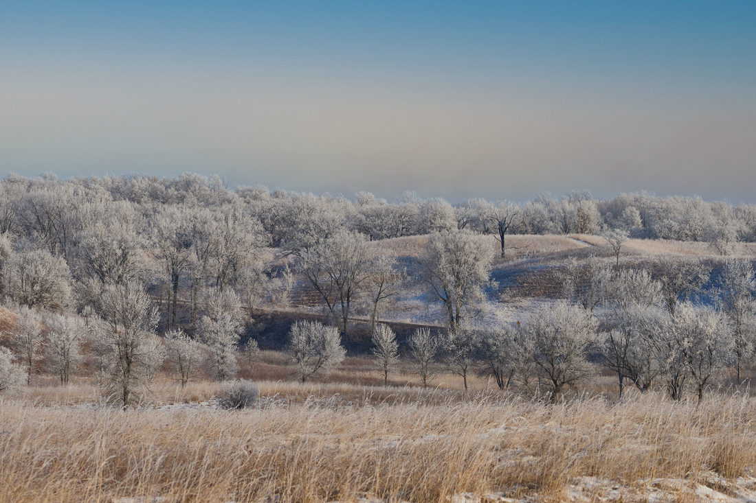 Frosty Morning