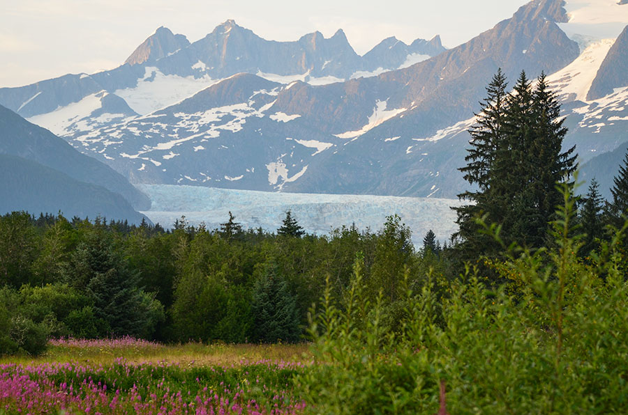 Mendenhall Glacier