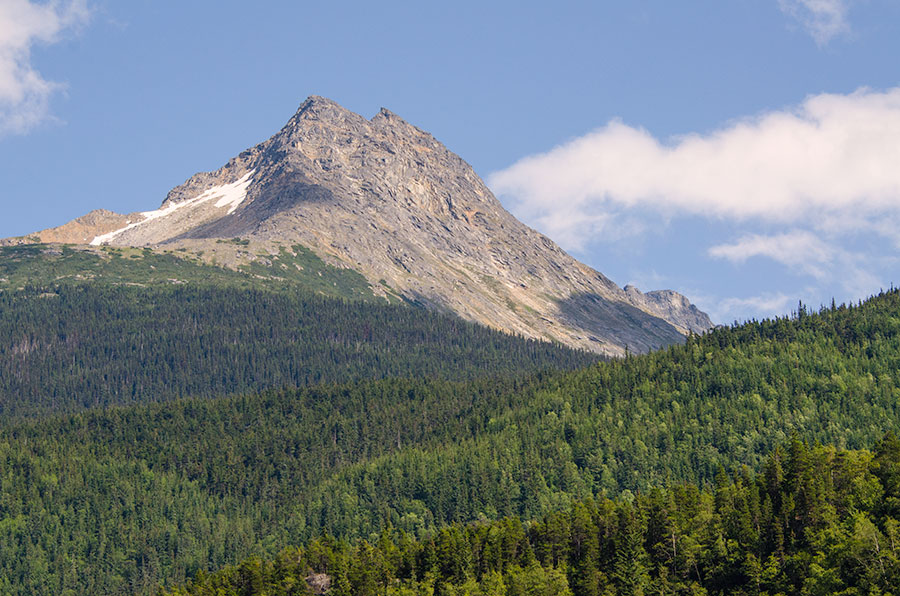 Near Ketchican Alaska