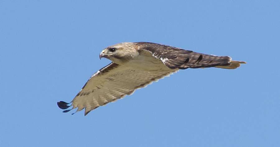 Flyby