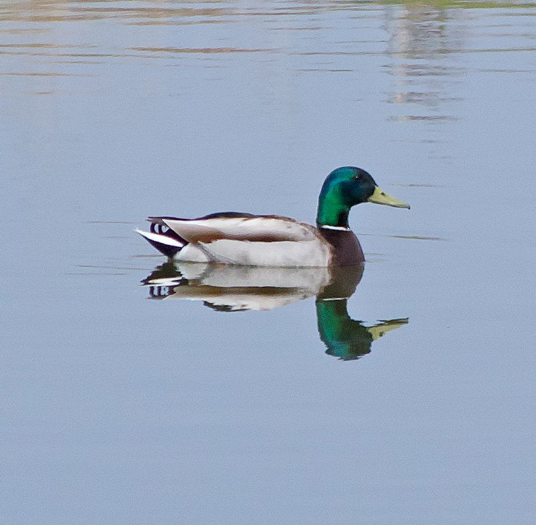 Near symmetry