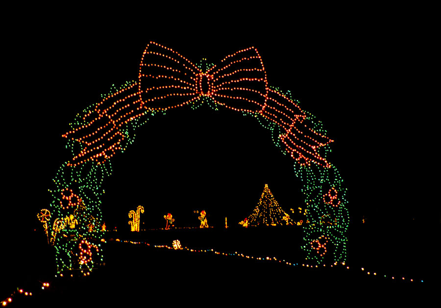 Christmas Lights in Baltimore