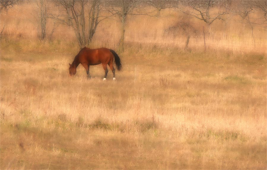Beauty amongst the drab
