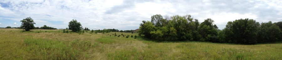 Image from where the house may be placed looking east