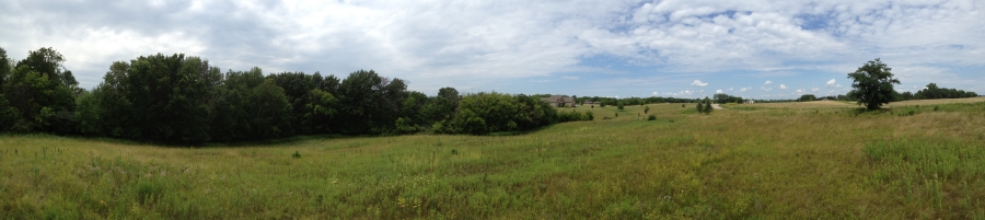 Image from where the house may be placed looking southwest