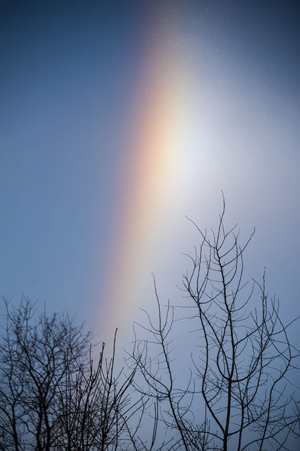 Sun Dog