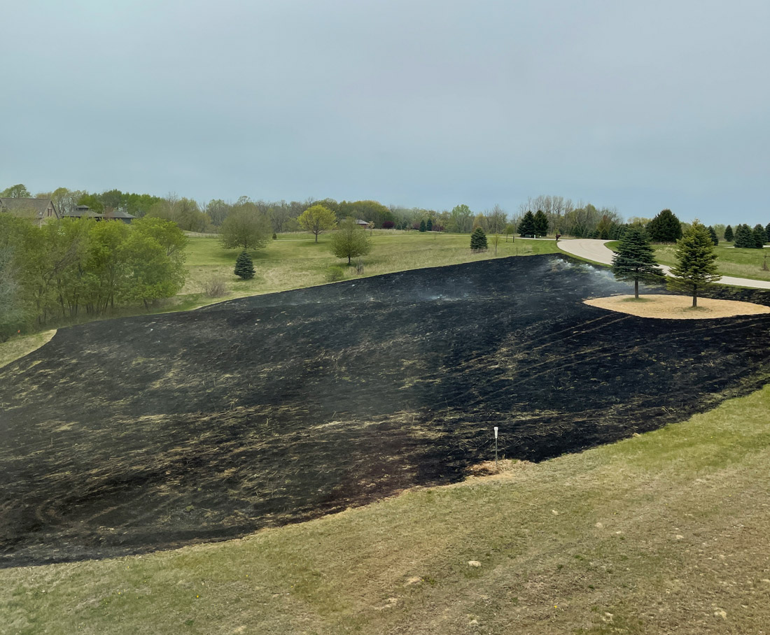 Prairie Grass Burn