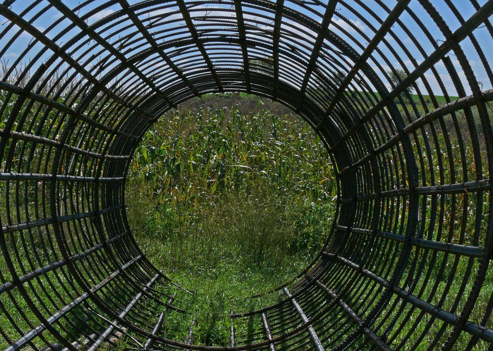 caged