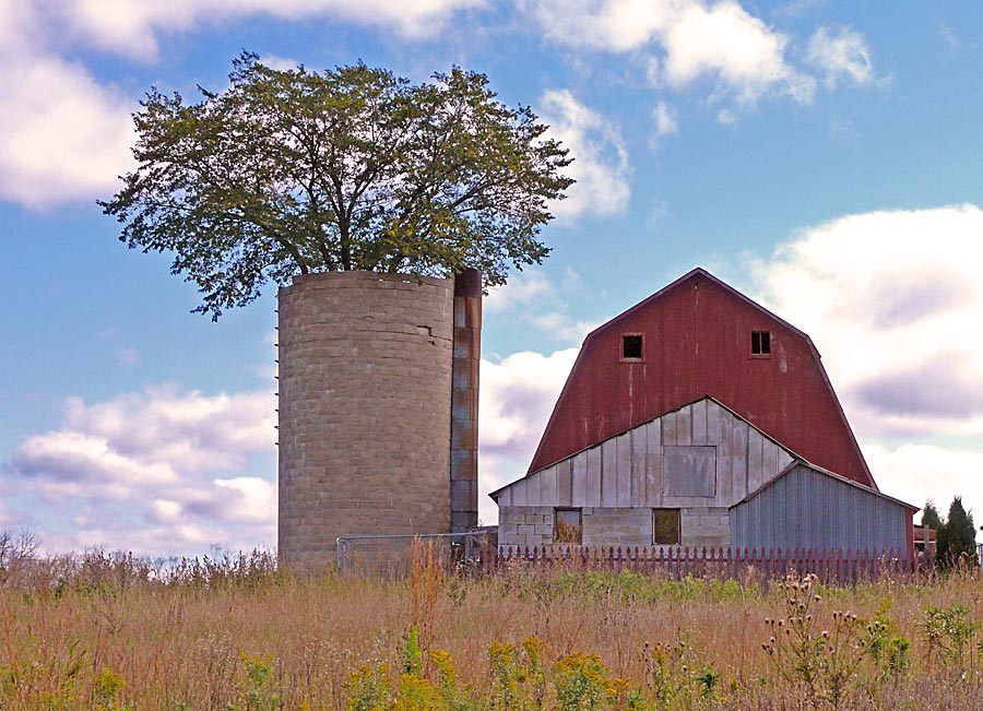 farm