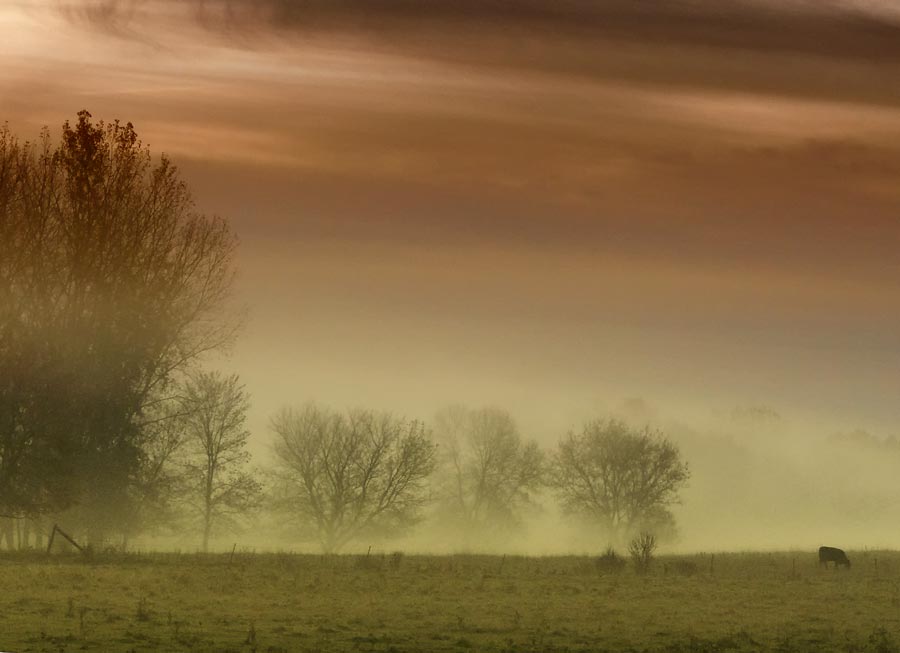 fog