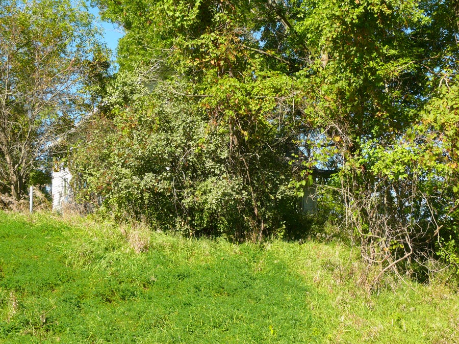 house 3