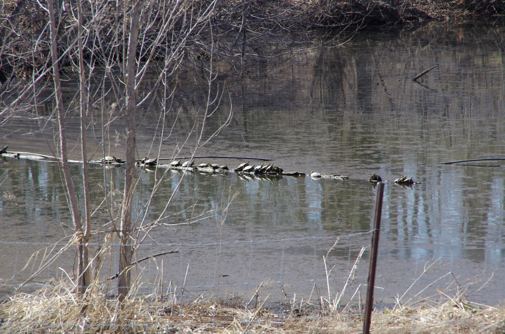 IMGP0357