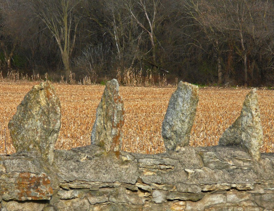 near mayowood