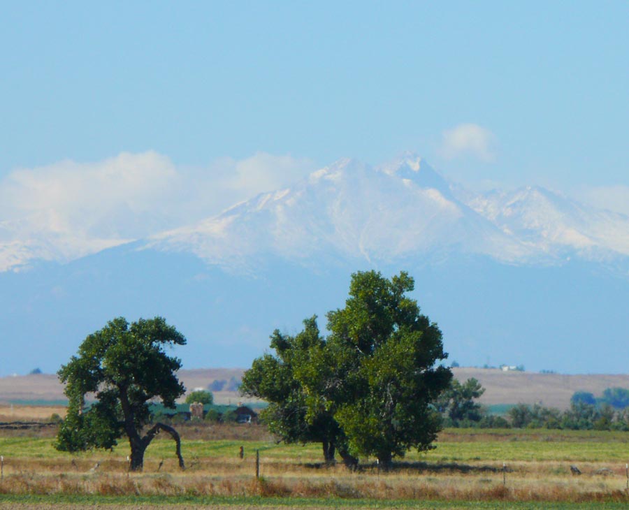 rockies