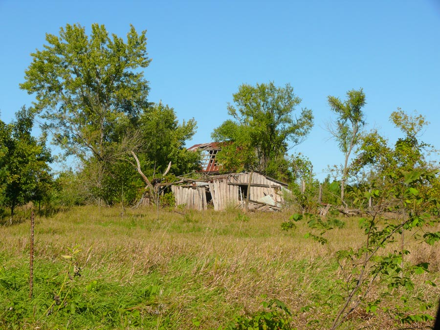 shed