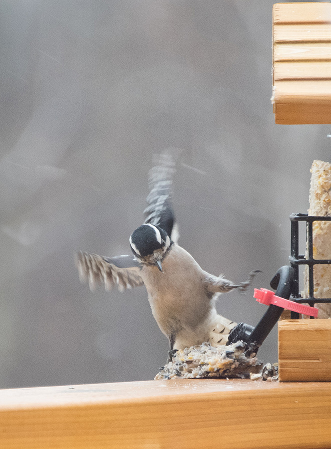 Slipping off the edge of the deck