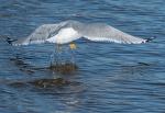 Making a Splash