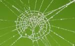 Morning Dew