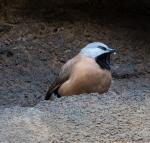 National Aquarium