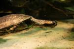 National Aquarium