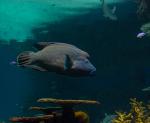 National Aquarium