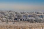 Frosty Morning