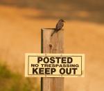 Sentry Duty