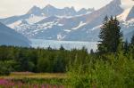 Mendenhall Glacier