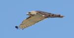 Flyby