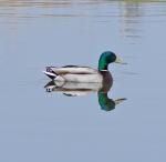 Near symmetry