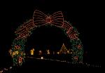 Christmas Lights in Baltimore