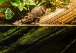 National Aquarium
