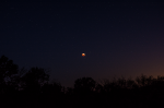Lunar Eclipse