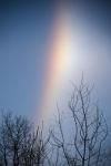 Sun Dog