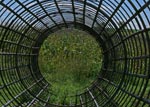 caged