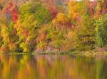 Fall in Minnesota