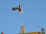 hawkjump