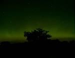 First attempts at shooting the Northern Lights