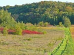 landscape2