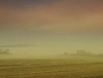 Middle of Nowhere