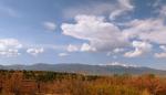 From Palmer Park
