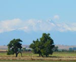 rockies