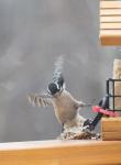 Slipping off the edge of the deck