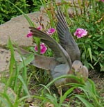 take-off